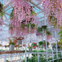Yilan - Artemis Garden Ticket – A Fragrant Greenhouse Escape | Taiwan Travel, Tour & Journey