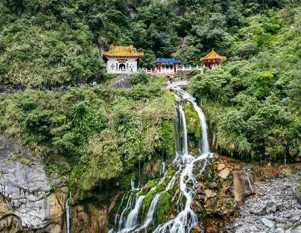 Taiwan hiking in ancient forest