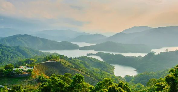 Wenshan Baozhong tea fields in Pinglin