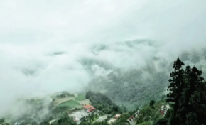 Forest cabin under mist in Yilan Atayal land | Taiwan Travel, Tour & Journey
