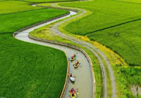 Canoeing gently through golden rice paddies under blue skies | Taiwan Travel, Tour & Journey