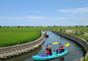 Coach guiding a family in a canoe amid rice fields | Taiwan Travel, Tour & Journey