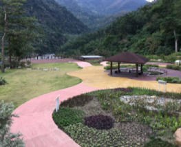 A bamboo grove inside Jhihben Forest shaded in green | Taiwan Travel, Tour & Journey