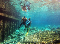 Diver guided by instructor near colorful coral reef | Taiwan Travel, Tour & Journey
