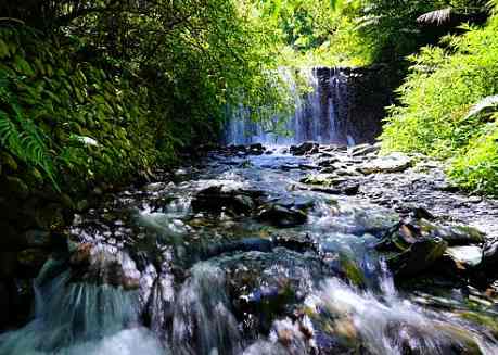 Pathway leading to Nantou waterfall