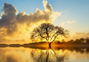 Spiritual Healing of Oral Cancer through Seth Philosophy and Energy Release